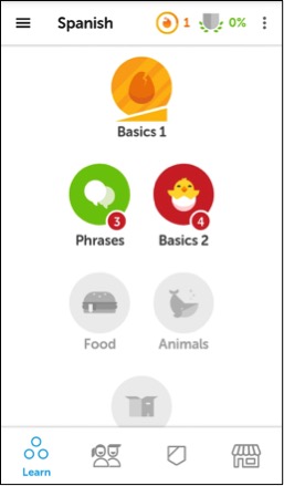 Duolingo dashboard